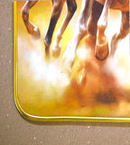 Siggaram 11.5x17.5 Inch Orange Horse Photo Frame for Home & Office Wall K4916